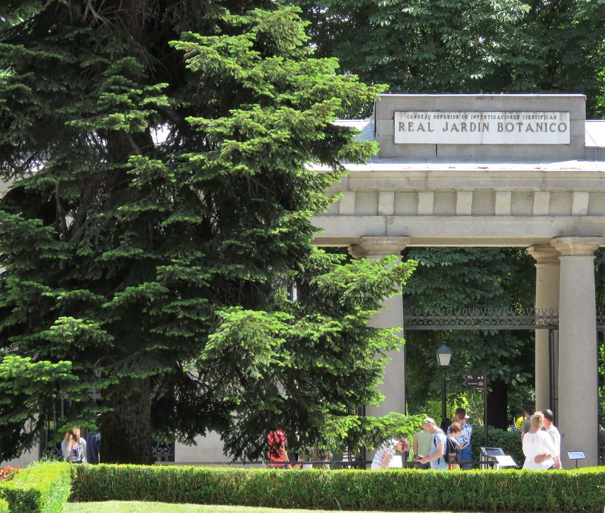 Not only a real one, but another royal one - the Real Jardín Botánico de Madrid, where on Tuesday I'll giving the plenary presentation on <a href="/RBG_Victoria/">RBG Victoria</a>'s climate change work, at a meeting of botanic gardens folk from Spain and Portugual. #climatechange #plants #botanicgardens