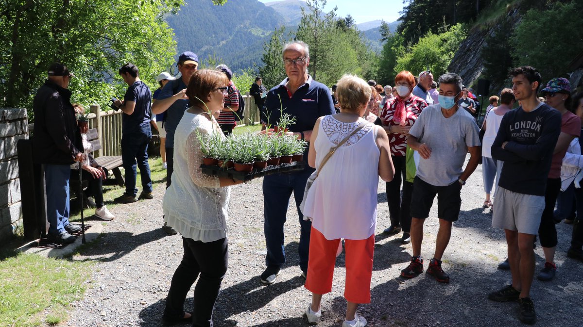 ComuEncamp's tweet photo. Ens hem aplegat a Les Pardines per celebrar la Mare de Déu de l’Ecologia! 
Planteu l’espígol als balcons que lluiran i les 🐝 ho agrairan! #biodiversitat @vilesflorides 
Una 60a de persones han participat en l’ofrena floral! 
#marededeuecologia #encamp #andorra #lespardines https://t.co/Xq1SP8cXgU
