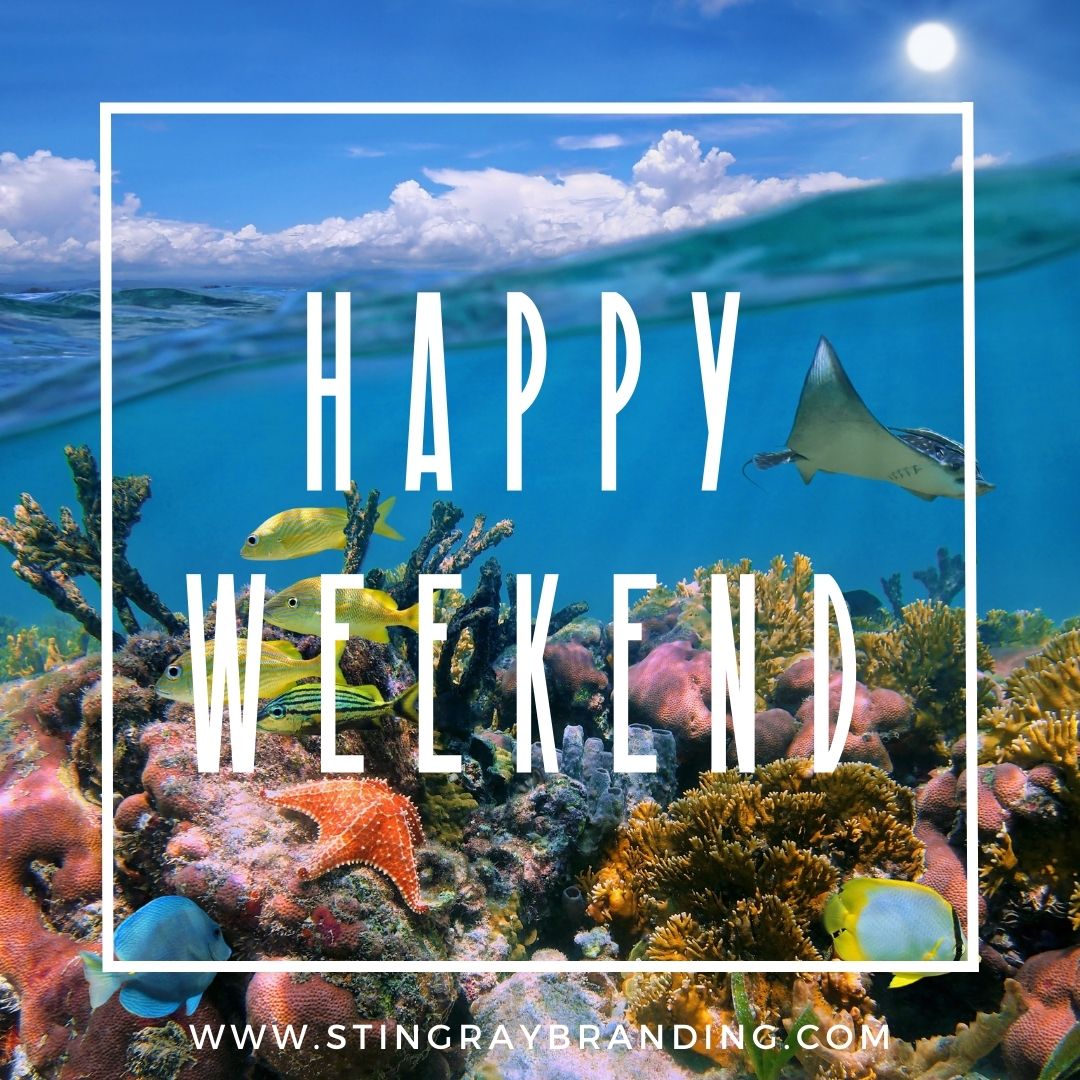 stingraychs's tweet photo. Enjoy. Lather. Soak. Unwind. 🌞
Here at Stingray Branding, we provide effective marketing services so you can unwind and enjoy your weekend! We are always here for YOU! | https://t.co/wr2KLIsyql #beaSTINGray https://t.co/FDxX31Z8Gt