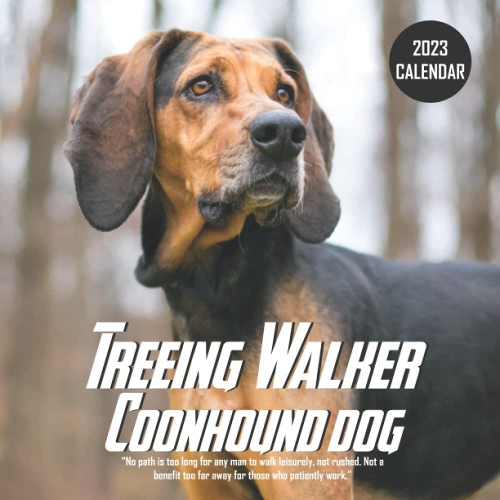 READING EBOOK Treeing Walker Coonhound Calendar Beautiful 2023