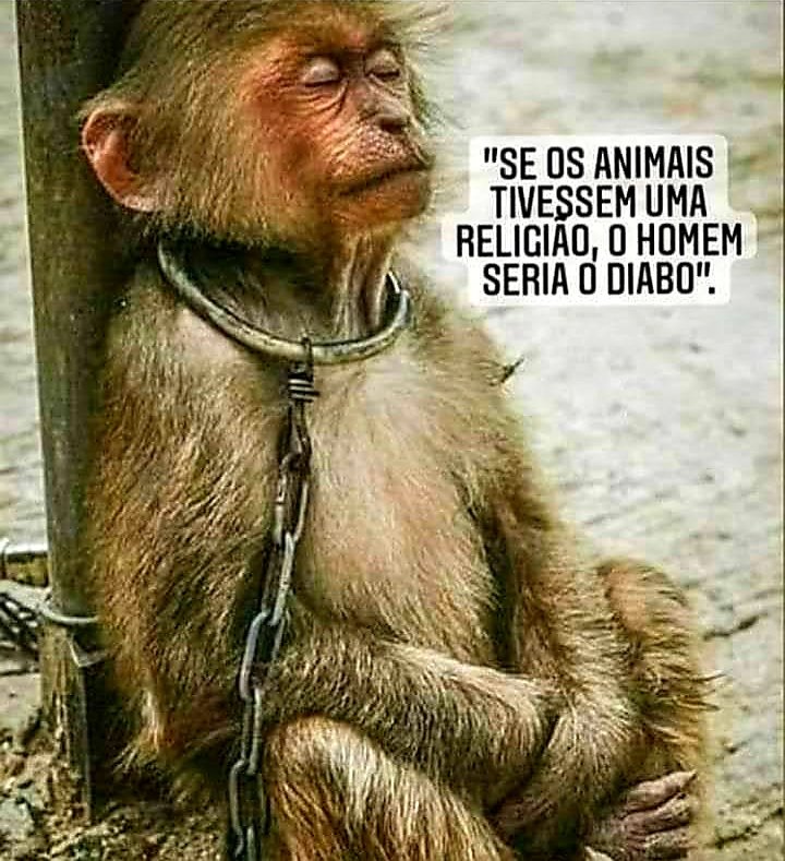 😥