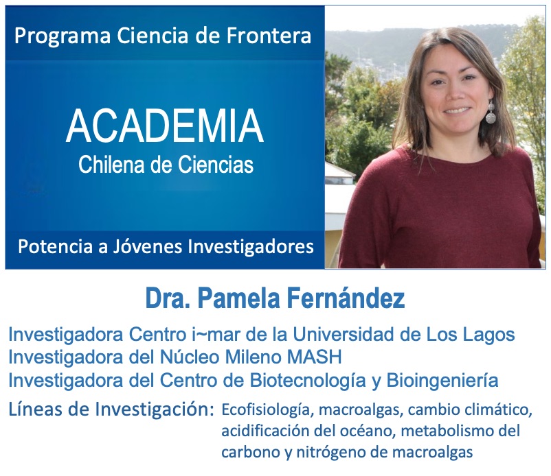 El Centro i~mar de #ULagos, felicita a su Investigadora Pamela Fernández por la adjudicación del VI Concurso del Programa Ciencia de Frontera, 2022-2024. Este Concurso es convocado por La Academia Chilena de Ciencias, con la finalidad de reconocer la excelencia (1/4)