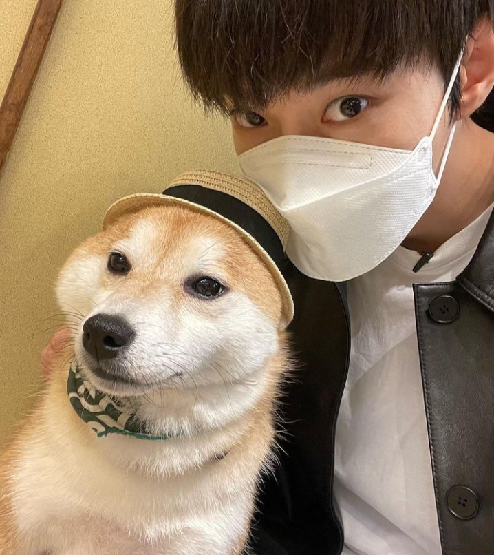 doiliee's tweet photo. I always love you, goodnight my lovee~ https://t.co/2vMmdl6vH8