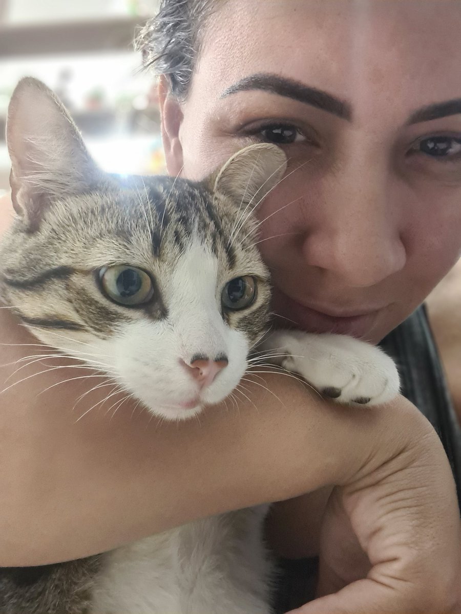 Anapsgomes3's tweet photo. 🥰 https://t.co/R7eCi0d8LF