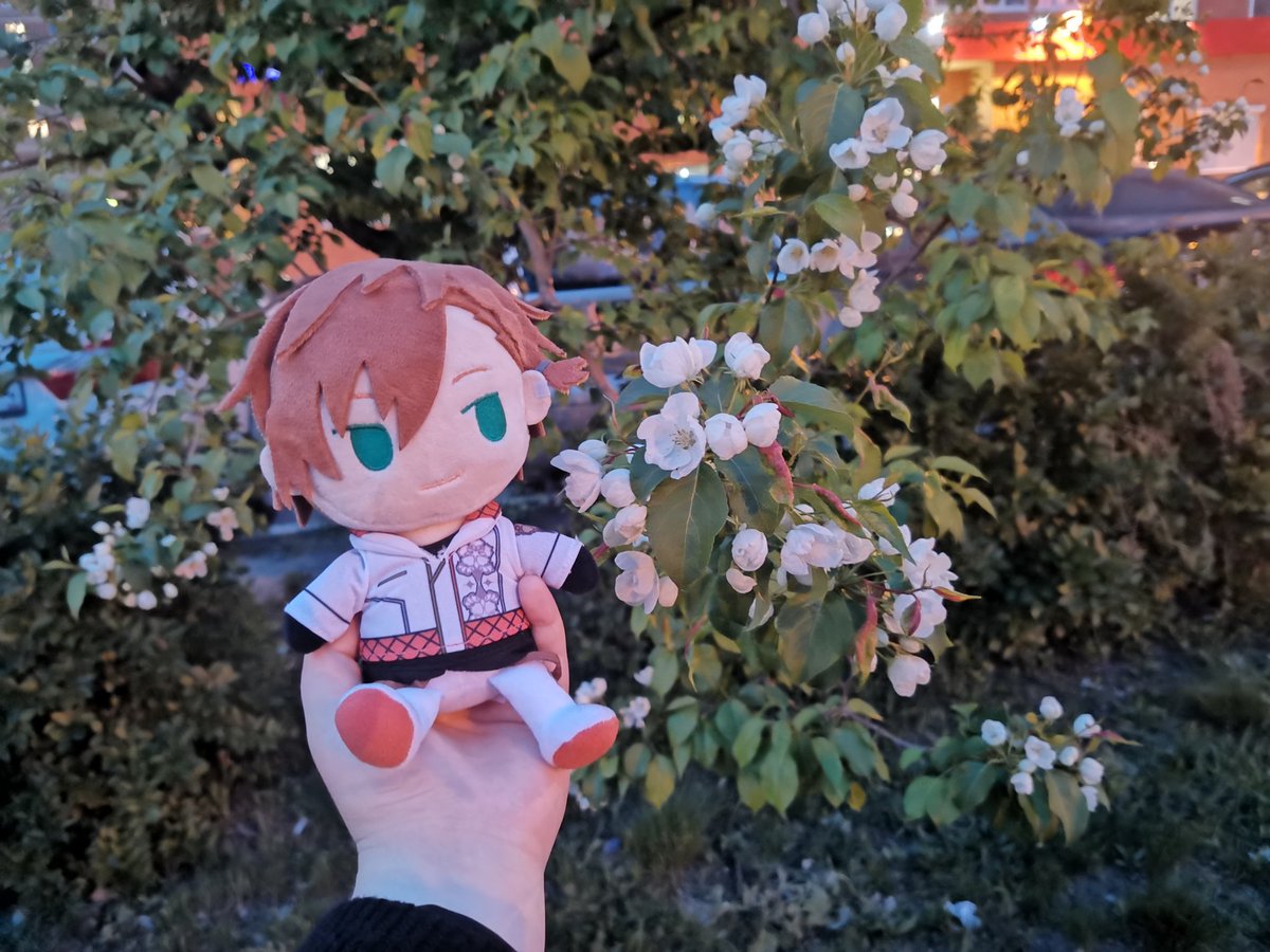 tekokome's tweet photo. HAPPY BIRTHDAY MY LOVE🏵️🧡
You know how much i love you😭

#AnthosFandom
#アントス清瀬陽汰誕生日
#HappyBirthdayHARUTA
#HAPPY_HARUTA_DAY https://t.co/rlNx4PRb49