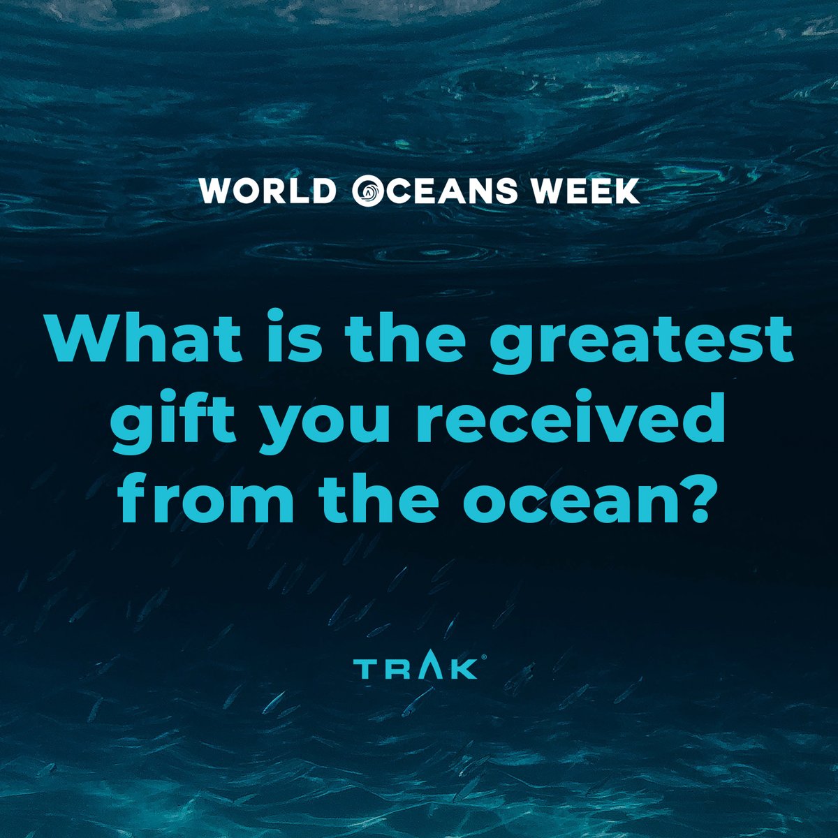 World Oceans Week - Day 4! 
Every day we ask a different question about our relationship to the oceans around us… today’s is: “What is the greatest gift you received from the ocean?”
We would love to hear from you!  
Leave your comments.
#TRAK #WorldOceansWeek #WorldOceansDay