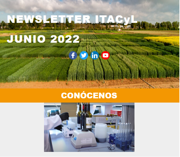 ITACYL's tweet photo. Ya puedes ver nuestra #newsletter del mes de junio 

Si no quieres perderte la información y actividad de #ITACyL, suscríbete y recíbela cada mes en tu correo electrónico 📨

👉 https://t.co/PyL43l1Ged https://t.co/aaW7Phk25s