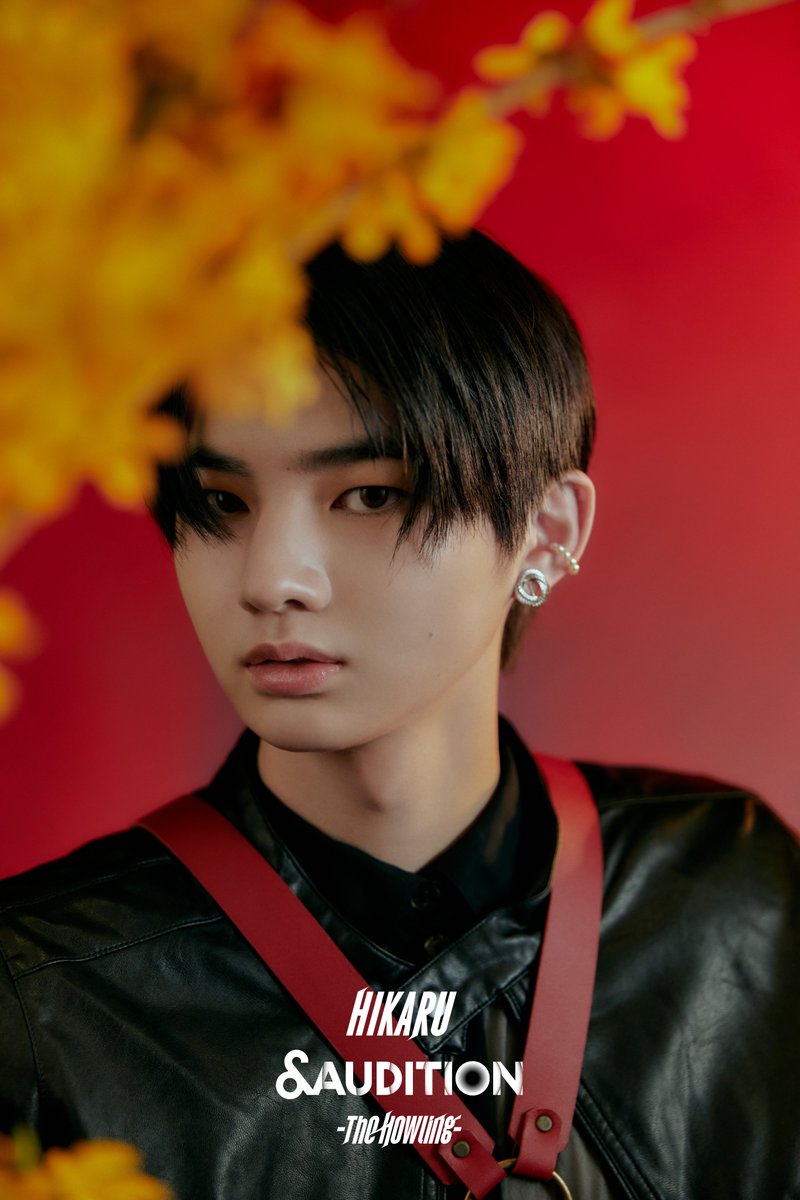 Hikaru Brasil🦊 | ESPERANDO PELO HIKARU (@BrasilHikaru) / Twitter