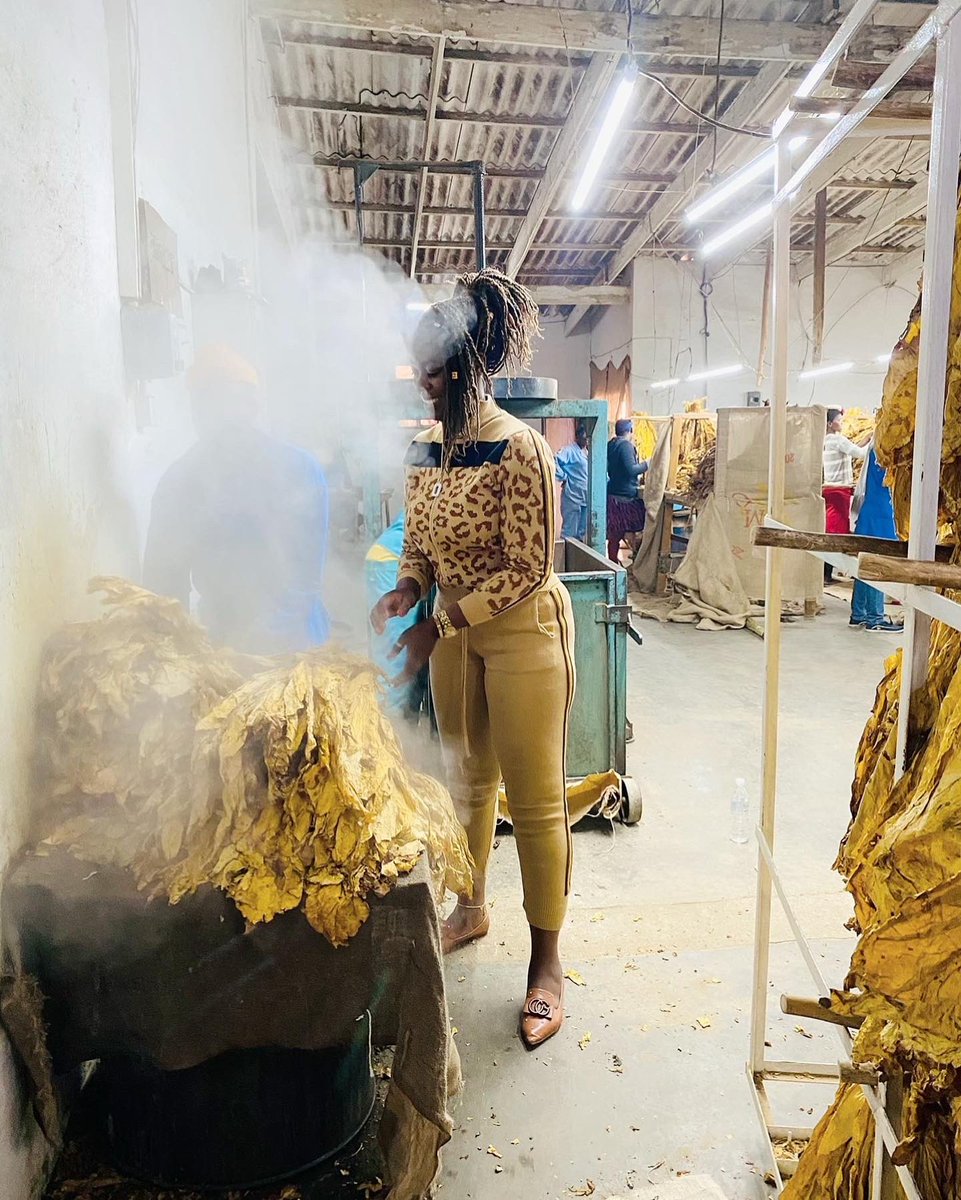 agribusiness1. tweet media