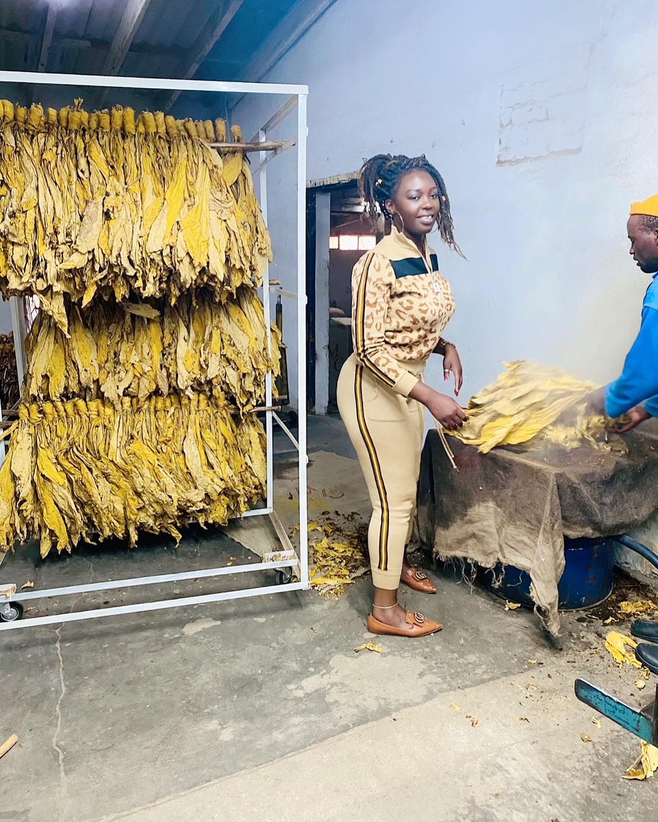 agribusiness1. tweet media