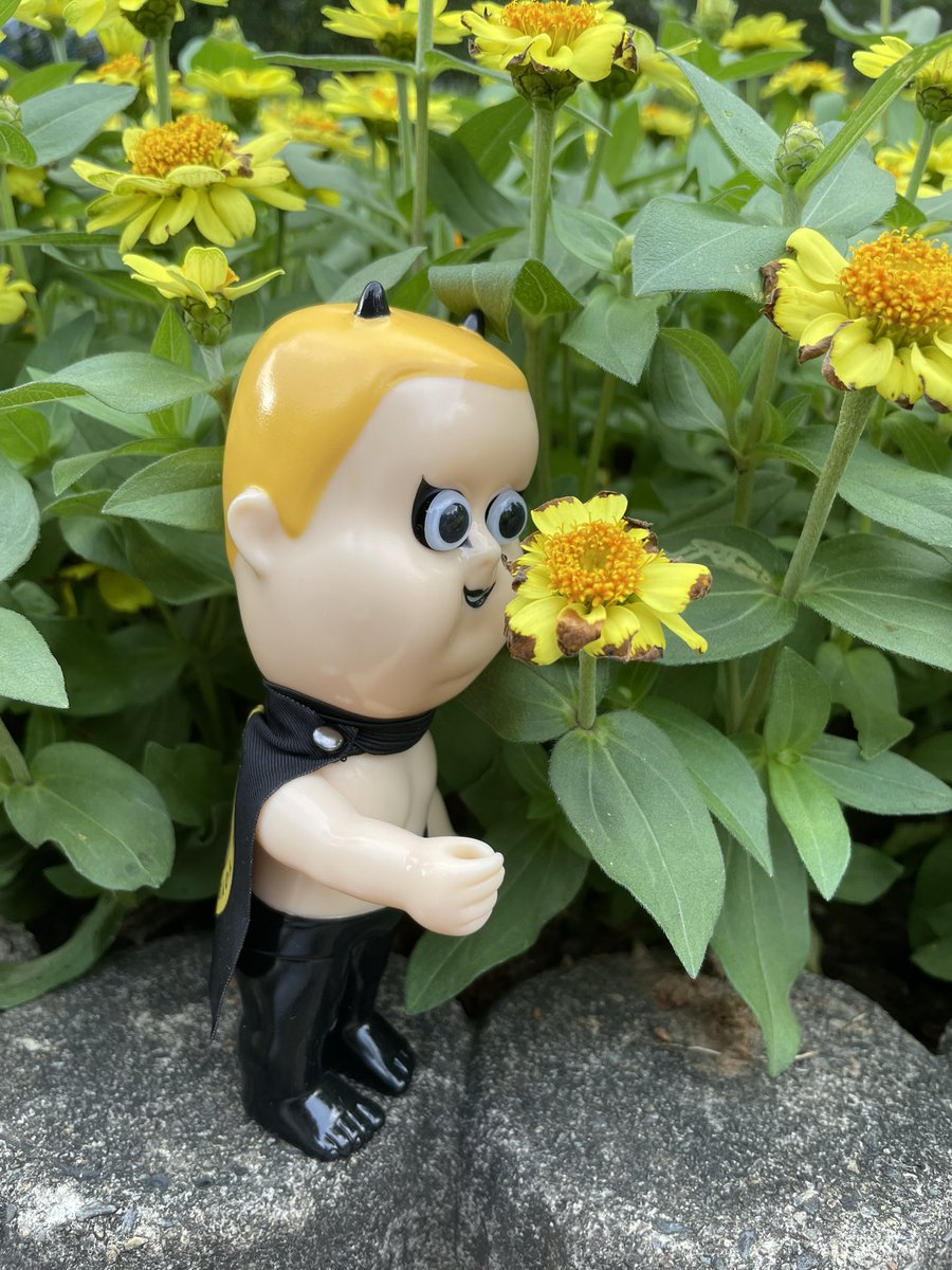 josalyn_wang's tweet photo. 花香嗎？
今天帶Hapy跟Rooney來校外教學🥰

@blackpearlsjp #bps #lifewithhapy #realhapylover #sofubi https://t.co/vU7pUnBiw4
