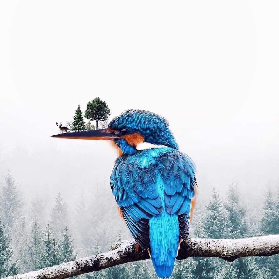 Arteymas_'s tweet photo. Increíble arte digital de Luisa Azevedo. https://t.co/MB0GxIpDYh
