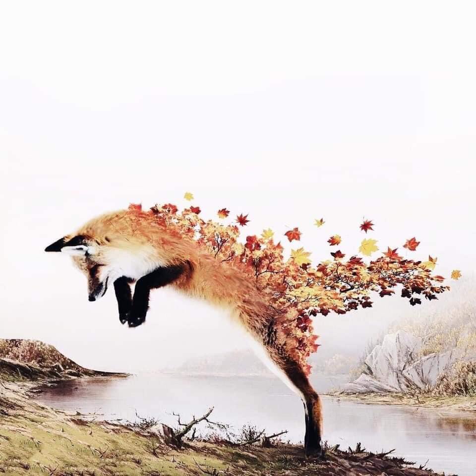Arteymas_'s tweet photo. Increíble arte digital de Luisa Azevedo. https://t.co/MB0GxIpDYh
