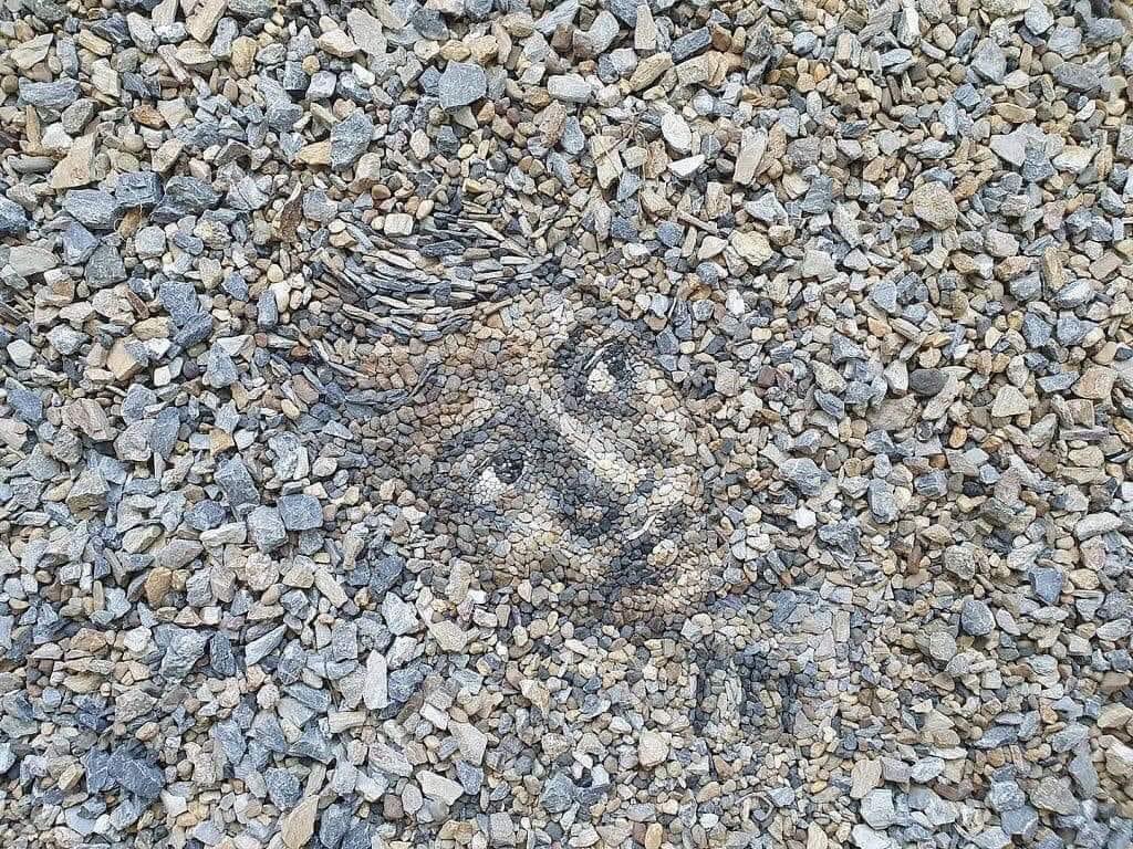 El arte de Justin Bateman