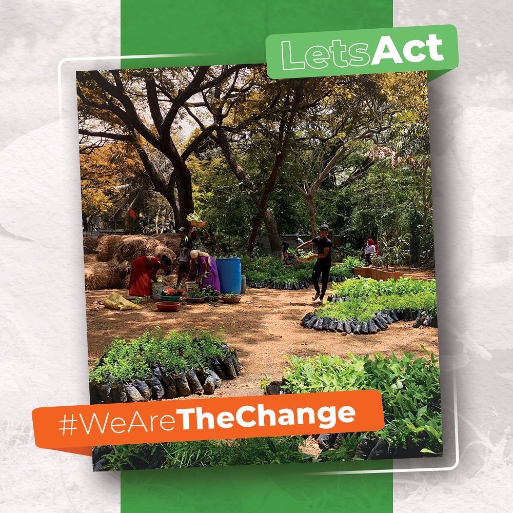 MNarwekar's tweet photo. #LetsAct Working for Nature always brings contentment.
#WeAreTheChange #forestcreation #EnvironmentDay #plantation #Narwekars https://t.co/3tagLWtsI1