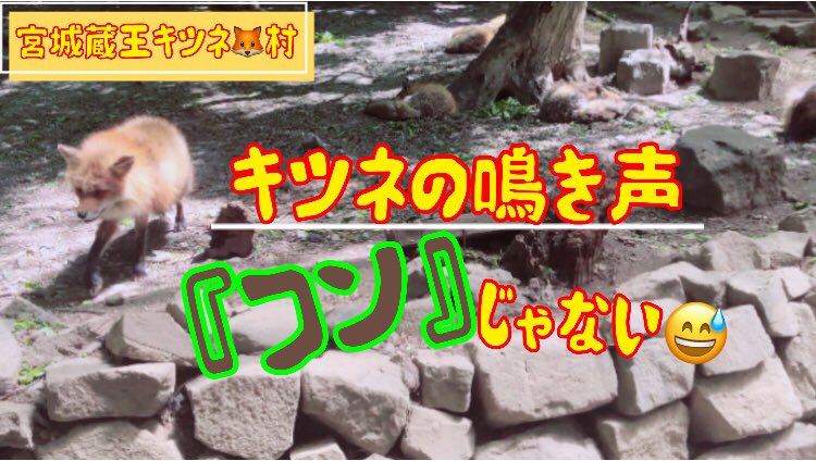 宮城県観光大使 Twitter Search Twitter