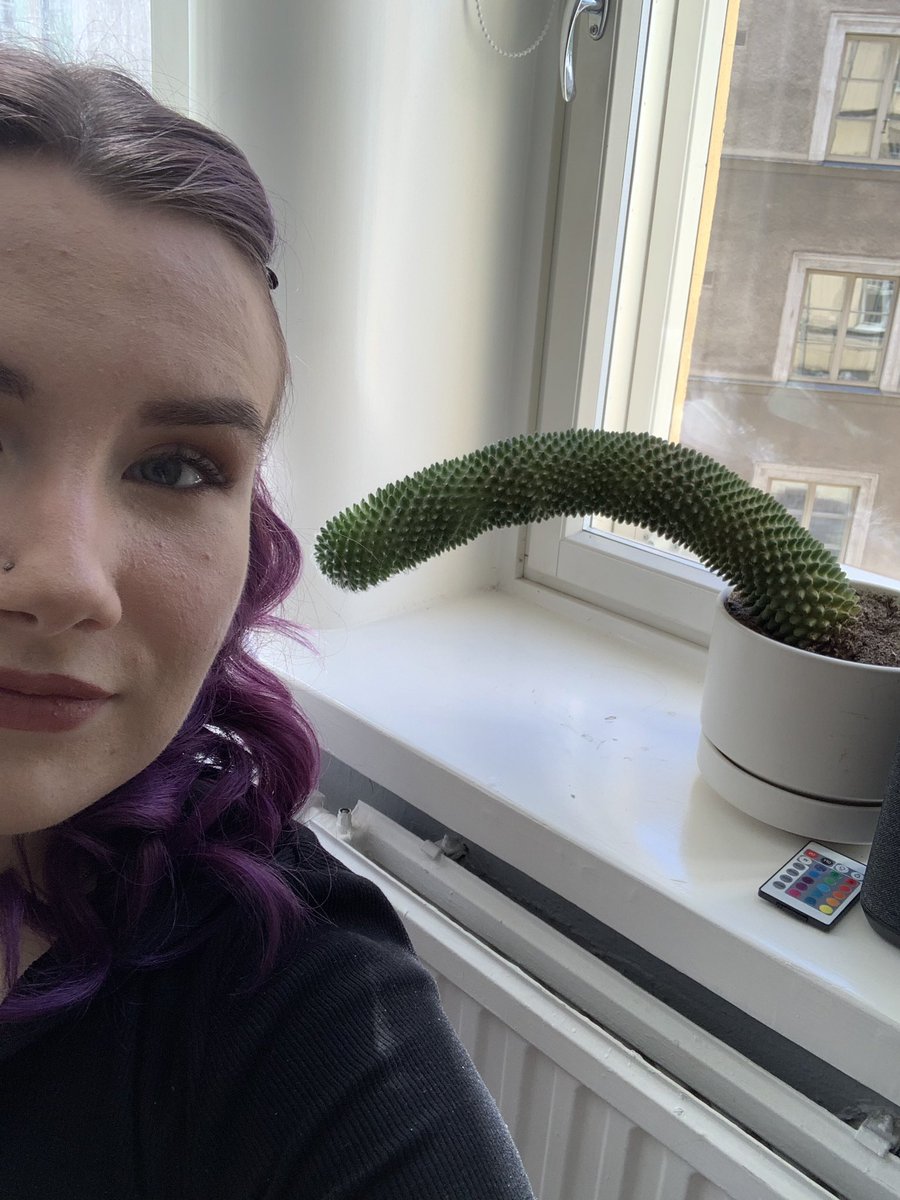 IsabelPanschin's tweet photo. Y’all think if I show my cactus p0rn it will straighten back up? https://t.co/m6VXJjVRqI