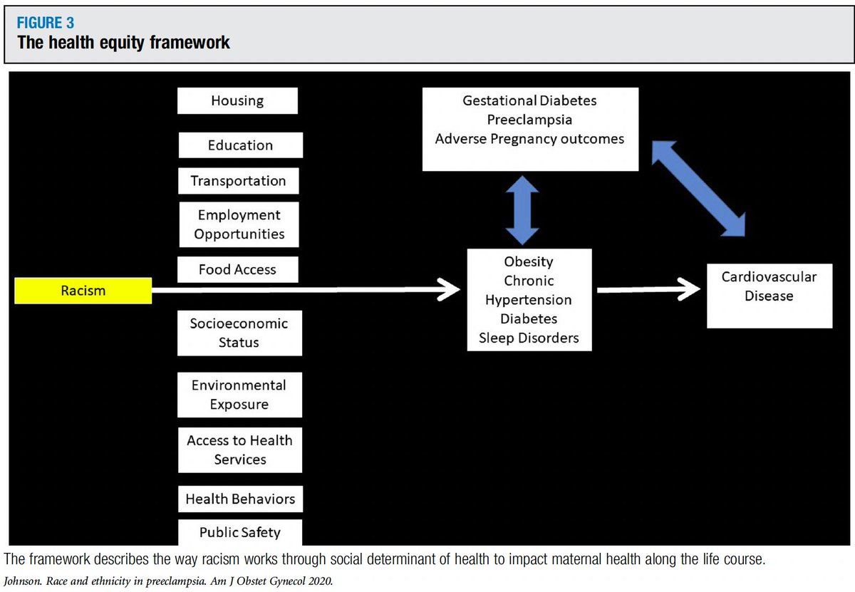 AJOG_thegray's tweet photo. AJOG Expert Review in Preeclampsia:  Does race or ethnicity play a role in the origin, pathophysiology, and outcomes of preeclampsia? An expert review of the literature https://t.co/gMIW5V35Jg https://t.co/B6Wu9bUMkg