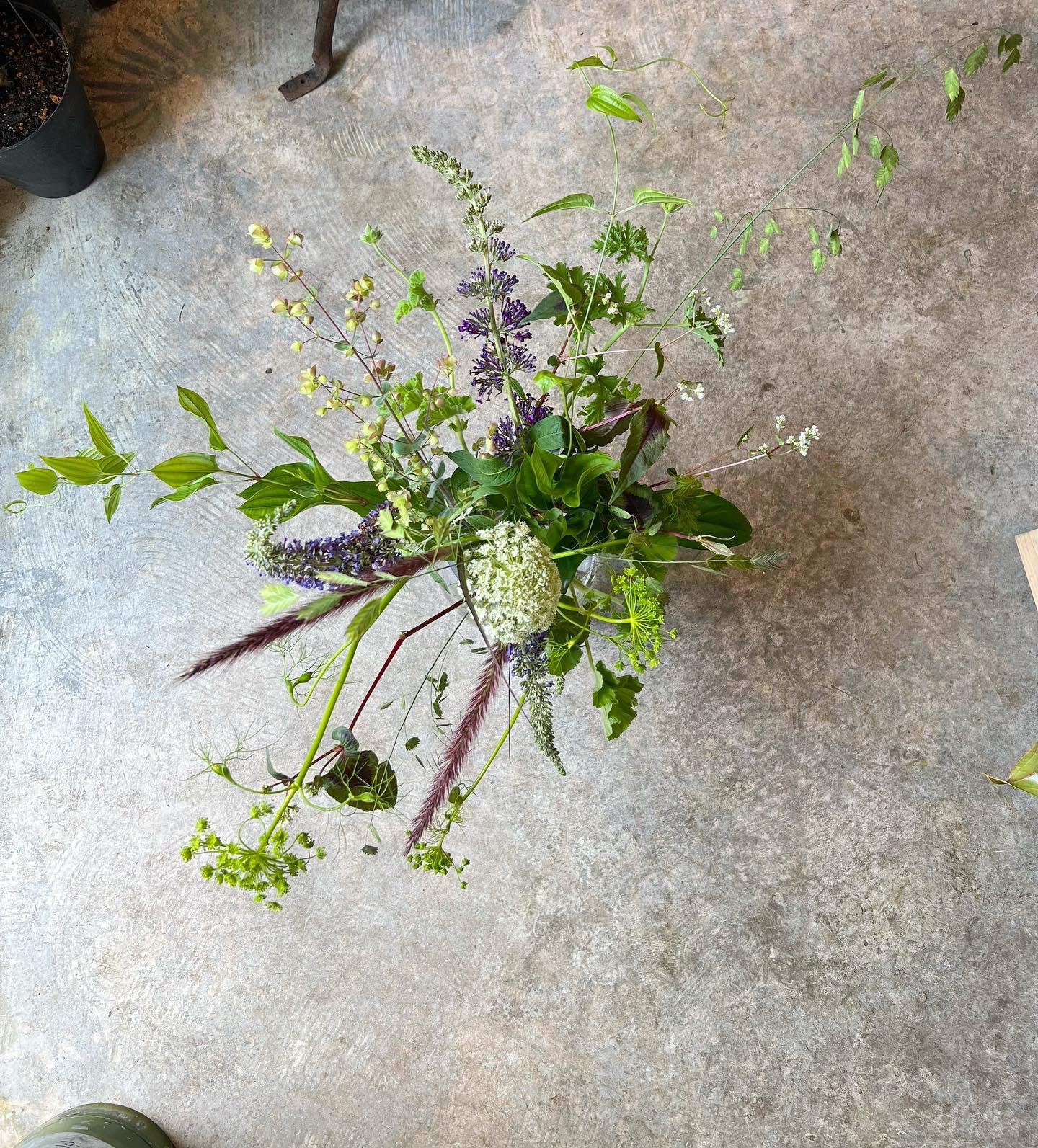 ハッカニブンノイチ お花持ちが難しい季節になりました 葉物 枝物などと合わせて 今ならではの組み合わせを楽しんでみて下さい 花屋 豪徳寺 ハッカニブンノイチ T Co Zsyq327oyk Twitter