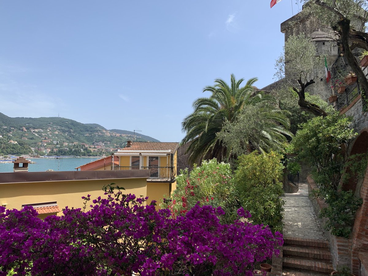 Stefano Putinati tweet media