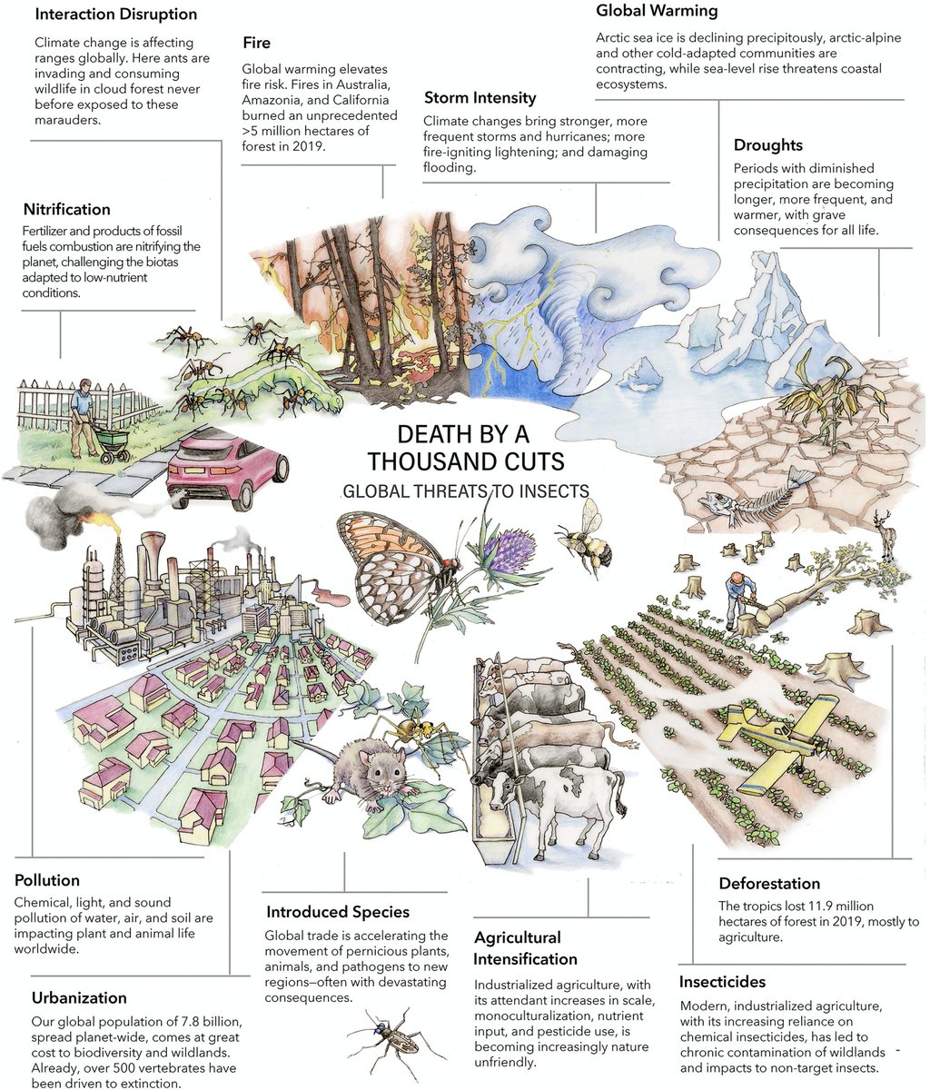 riv39525750's tweet photo. A Scientific Report, Very Exhaustive and Alarming Concerning, The Loss of World Biodiversity, Caused by Variuos Form of Pollution, Droughts,Global Warming, Deforestation, Pesticides, Phytochemistry,And Excess of Exploitation of The World Resources! #ScienceForClimate https://t.co/wuRxpggG8V