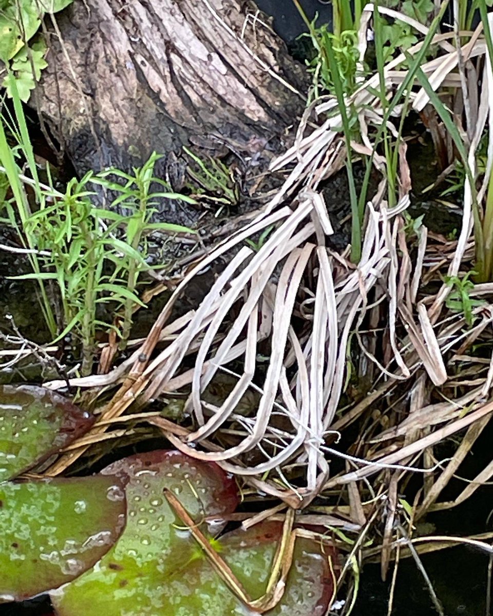 Mike Arntz 🌍 tweet media