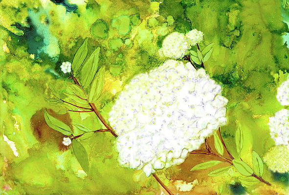 DeborahLeagueFA's tweet photo. SOLD! This beautiful #alcoholinkart #print just sold as a #showercurtain. Visit me at the link to discover all the beautiful ways you can decorate your #home with #art.
#whitehydrangea #wallart and #homedecoration.
AVAILABLE HERE - https://t.co/HMcD7SFJiP
#buyintoart https://t.co/IWwAZ1iukJ