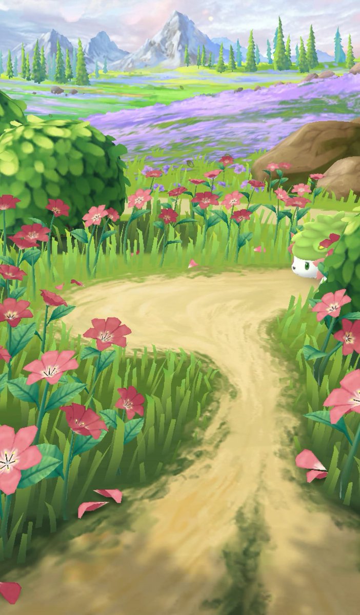 MrSnowdenK's tweet photo. Solo vengo a decir que... casi #shaymin 100. Y muy bonita la forma del encuentro 🥺 #GoFest2022 https://t.co/Urw8QcL7dd