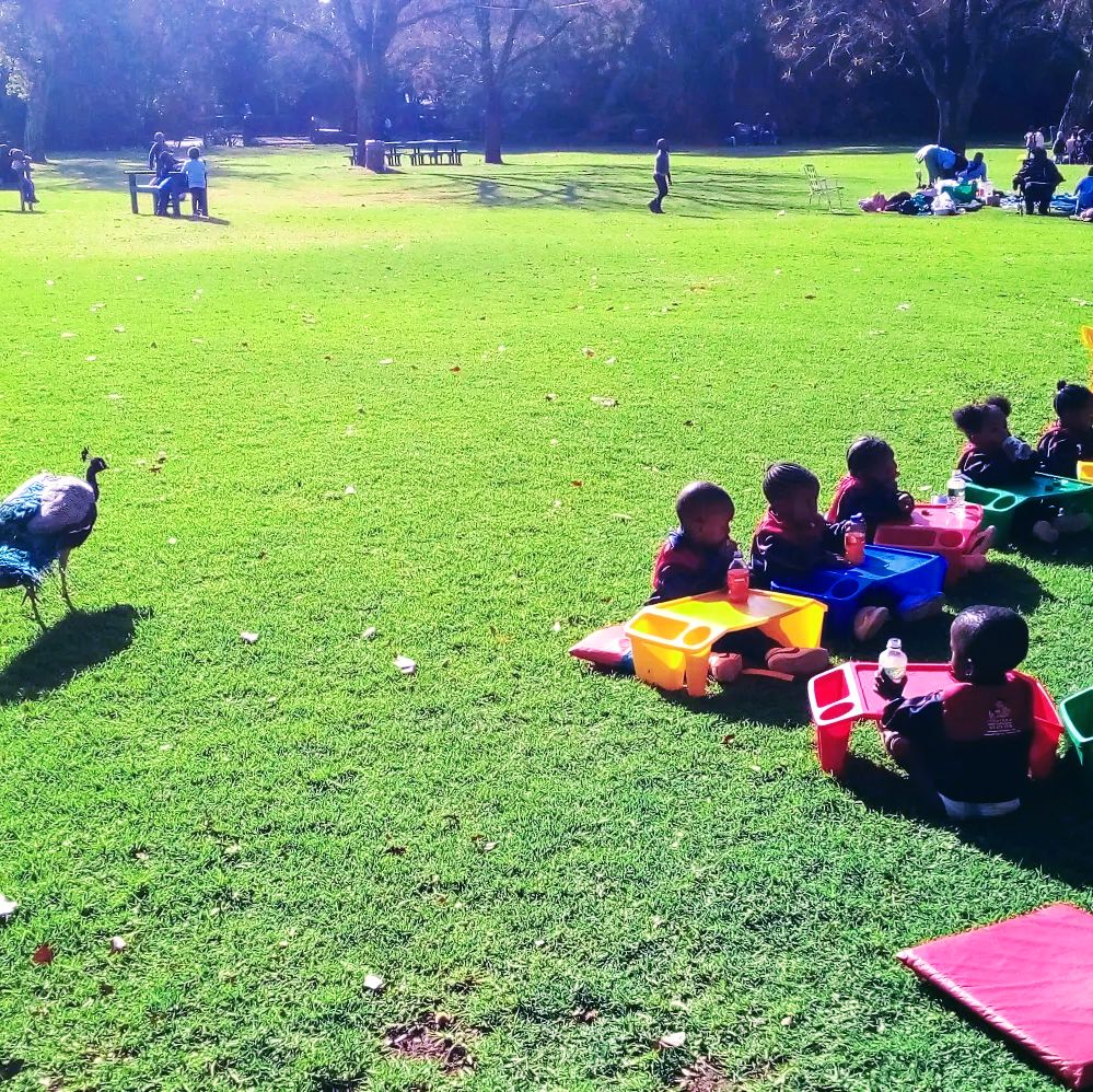 GpECD_Plug's tweet photo. "To change the world begin with Early Childhood Development."

Had a Great day @joburgzoo

@EducationGP1 @joburgzoo @EcdFnb @CECD_online @ECDAction @mphophalatse1 https://t.co/vxAUbvhh6J