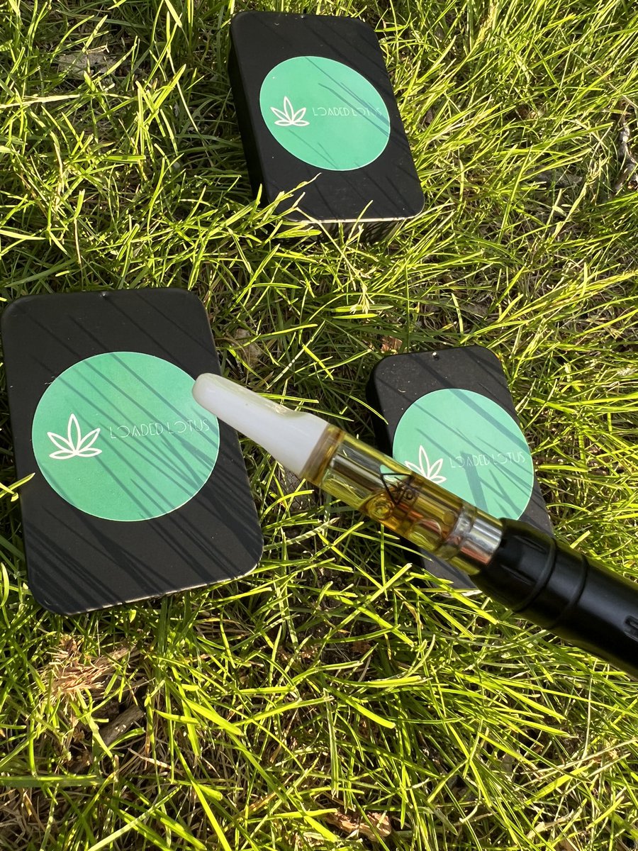 LotusLoaded's tweet image. left some gifts for the fairies 🧚🏽‍♂️