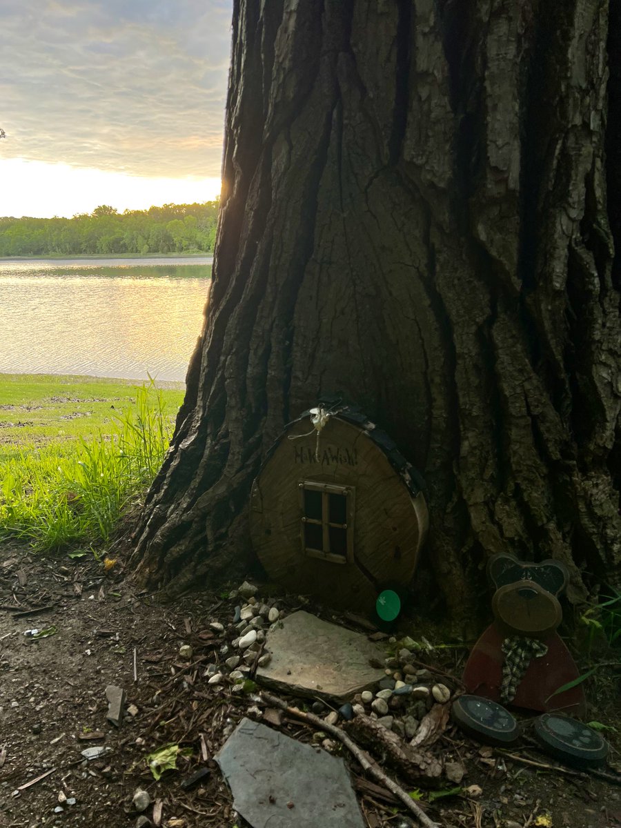 LotusLoaded's tweet image. left some gifts for the fairies 🧚🏽‍♂️