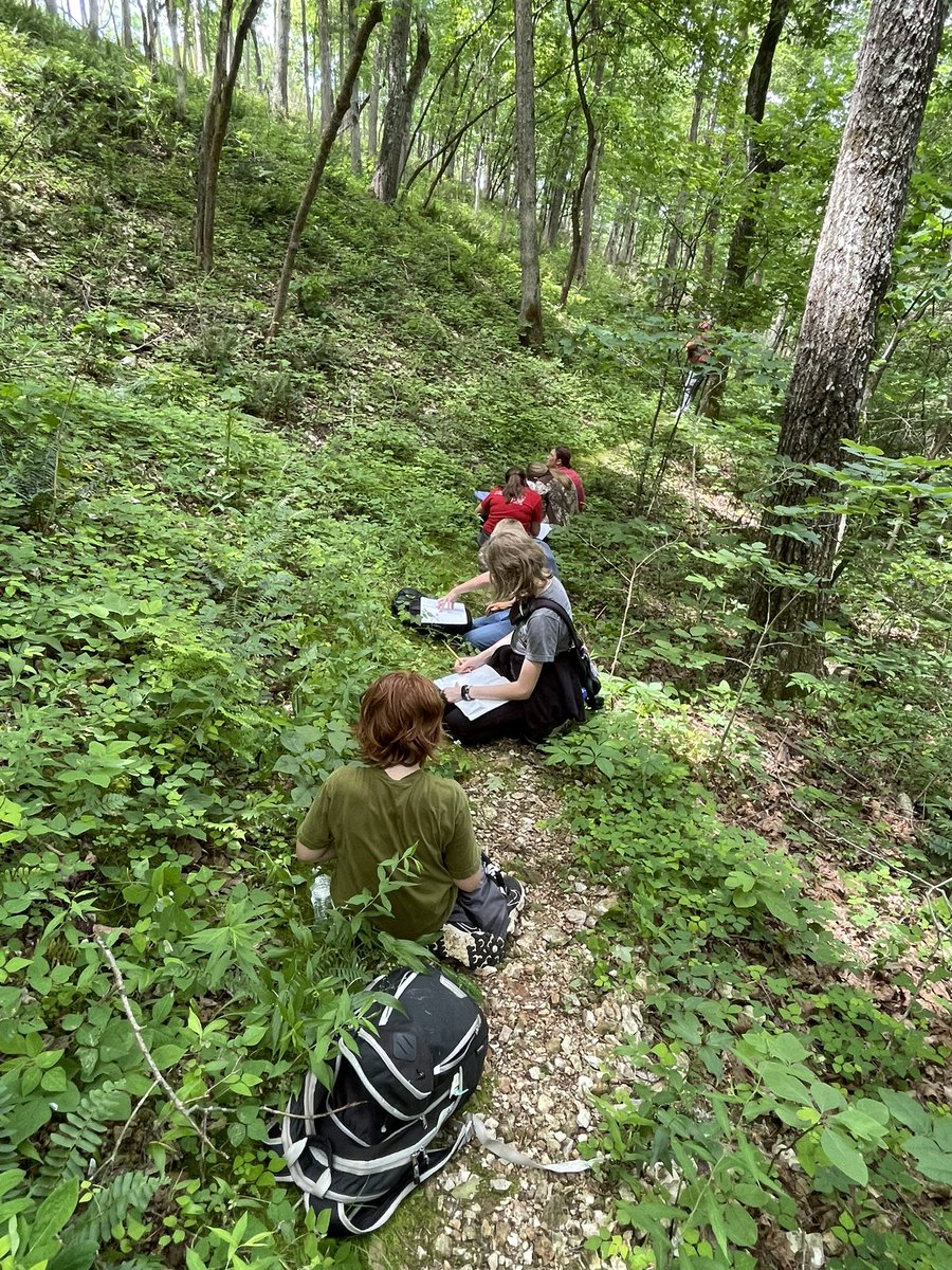 RoosterScience's tweet photo. Week 1 of SOPE is done! We learned about whippoorwills from @ellycknight, practiced our sketching skills, collected insects and cuticular wax samples for @PlantsRChemists! https://t.co/7UNG1Sb4Xe