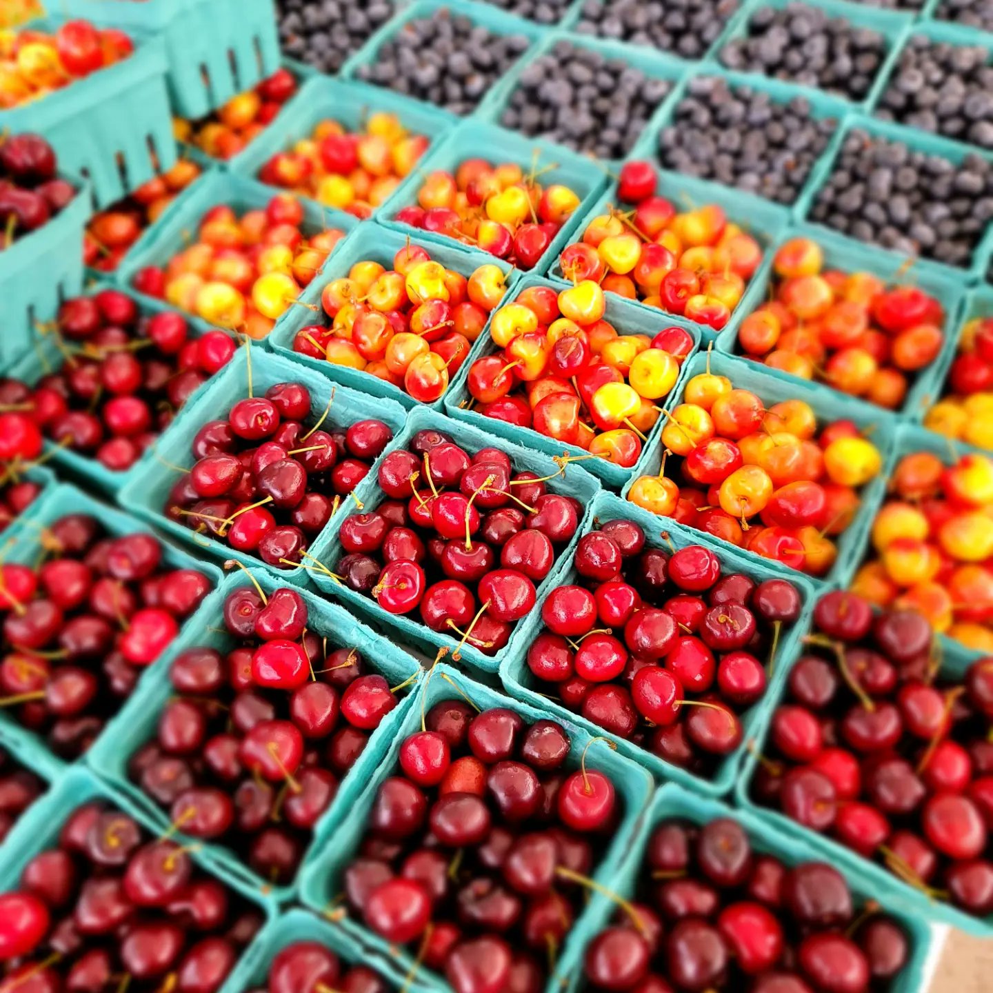 Brookfield IL Farmers Market (BrookfieldFM) / Twitter