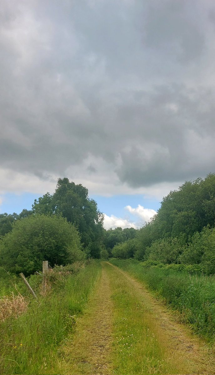 wlhaydock's tweet photo. Yesterday's kildare bog exploration, these area's are so vast and seem to absorb sound.... strangely beautiful in their bleakness. #bogland #ghostofahome #curiousplaces #layersofearth https://t.co/Lj1XXacvv7