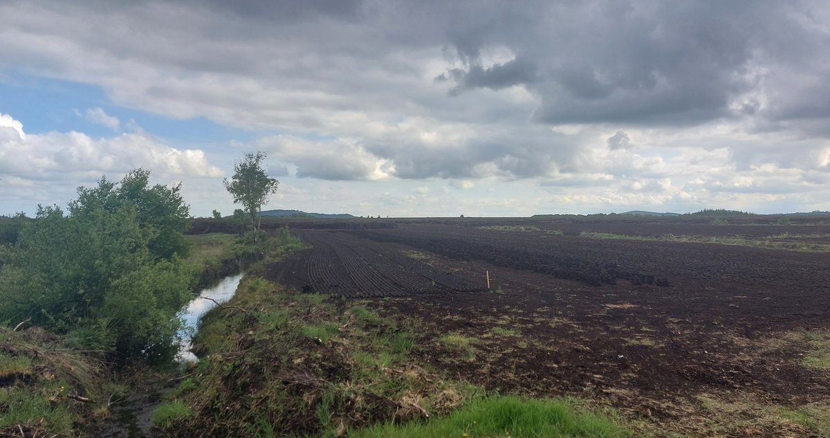 wlhaydock's tweet photo. Yesterday's kildare bog exploration, these area's are so vast and seem to absorb sound.... strangely beautiful in their bleakness. #bogland #ghostofahome #curiousplaces #layersofearth https://t.co/Lj1XXacvv7