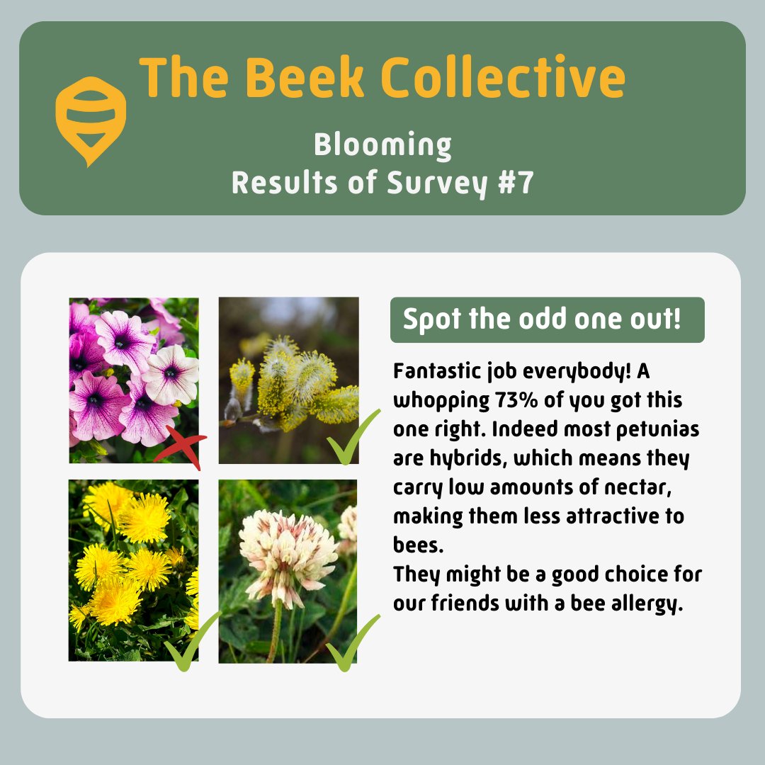 knowyourbees's tweet photo. Hello, fellow #Companions!
We've just finalized the analysis of our 7th Beek Collective survey on Blooming! βοΈπ·π Here's a look at some of the findings.
πΒ Do you find anything particularly interesting? π€
#TheBeekCollectiveΒ #beek #survey #beekeeingdata #hivetracks #blooming https://t.co/ZnmKlx0MSq