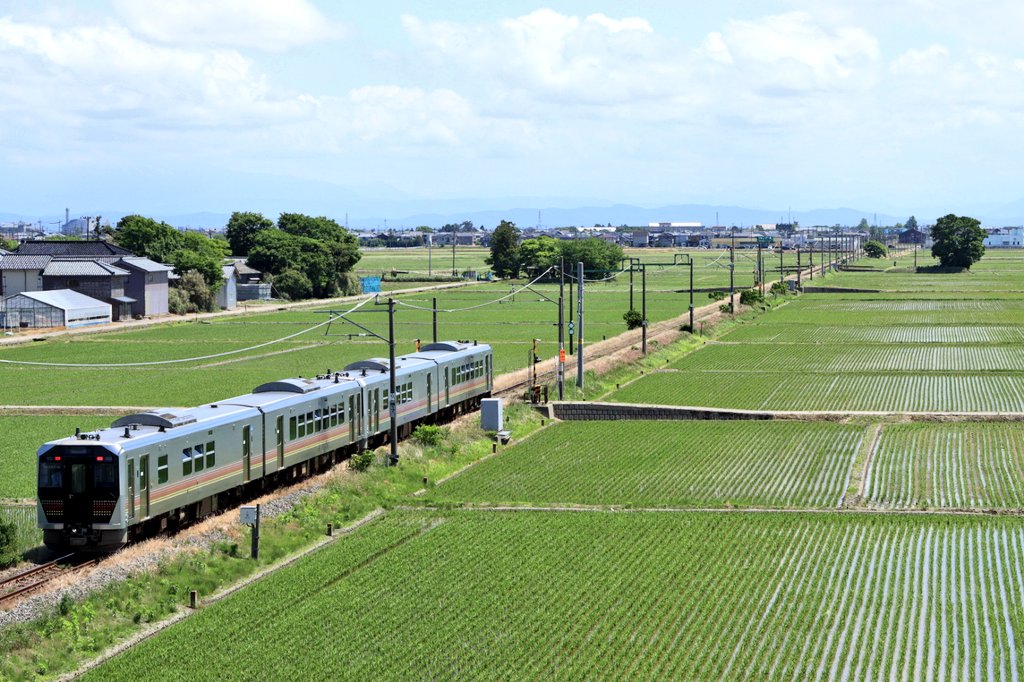 だいちゃん on Twitter