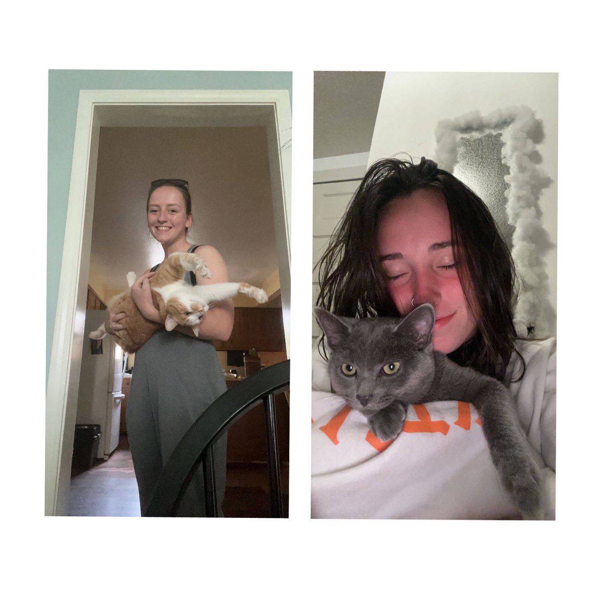 DefiCollegeWSOC's tweet photo. Happy National Hug Your Cat Day from proud cat owners on the @DC_WSOCCER team! #Caturday #CatsOfTwitter #dcws 🐱 https://t.co/m5EjyYXtNV