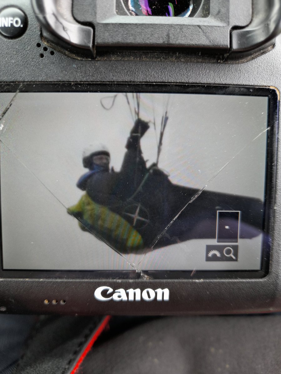 This paraglider has just flushed literally thousands of incubating seabirds off the cliffs at Buckton and @Bempton_Cliffs @Humberbeat #opseabird
