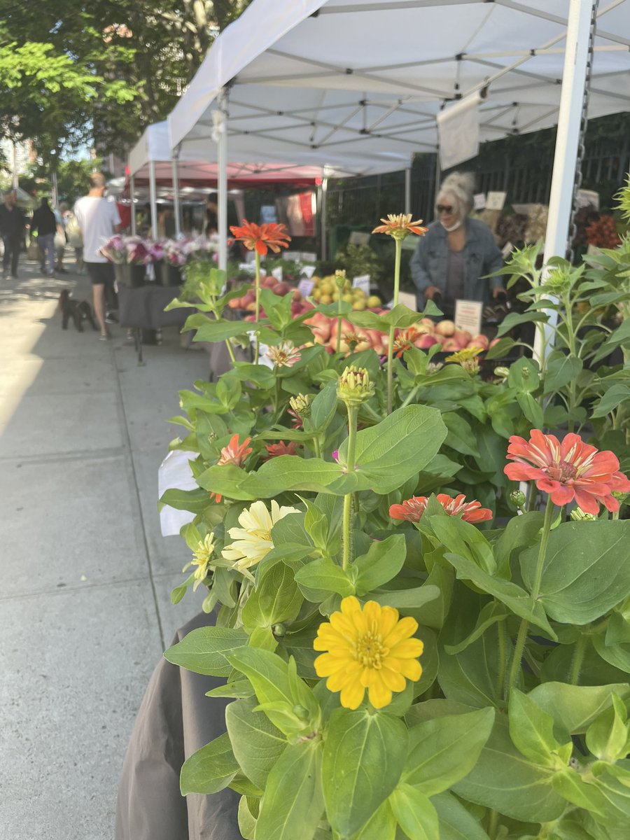 The challenges and the promise of our neighborhood, on full display this Saturday morning