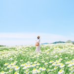 ツイートに含まれる画像