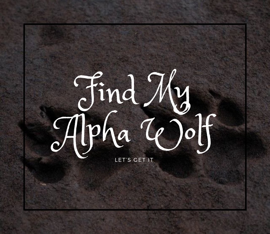 ⠀⠀⠀          𝑾𝒉𝒐’𝒔 𝑨𝒍𝒑𝒉𝒂?
     
⠀⠀⠀               🐺🌌⚠️

⠀Ｒｅａｄｙ？　Ｌｅｔ’ｓ　ｓｔａｒｔ！

forms.gle/4tBciTrtMB1DKN…