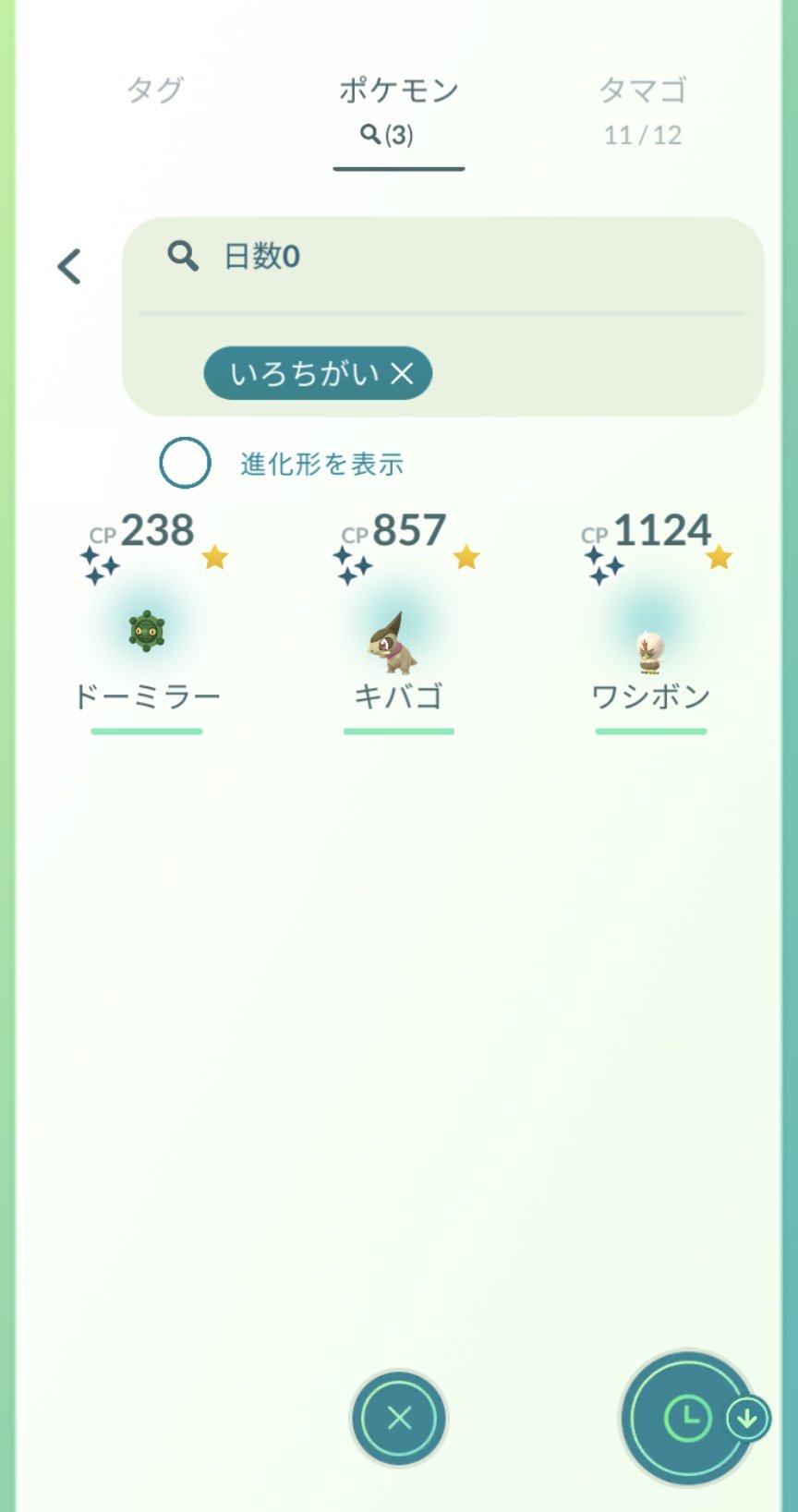 びーどる 本日の成果 色違い3 少なっ コータス トロピウス捕獲 シェイミは ポケモンgo Pokemongofest22 T Co 8gt7q1ebxj Twitter