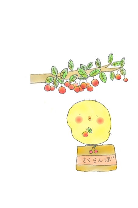 さくらんぼうのtwitterイラスト検索結果 さくらんぼうのtwitterイラスト検索結果