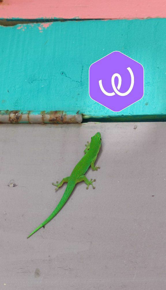 Spotted coingecko today. 
He knows what's gonna be trending soon 😏.  $EWT #cz_binance