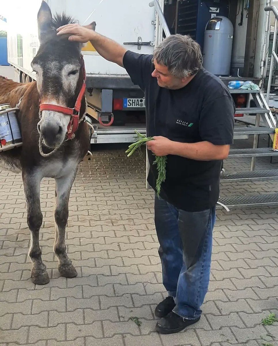 zsuzsanna_virag's tweet photo. Meanwhile in the Origo Studio...😃
Via #GerdNefzer on Ig
• • • • •
Miki‘s 60 birthday party with our star guest!! Beer transport by a donkey 😀
#DunePartTwo https://t.co/GgN2VwEnLw