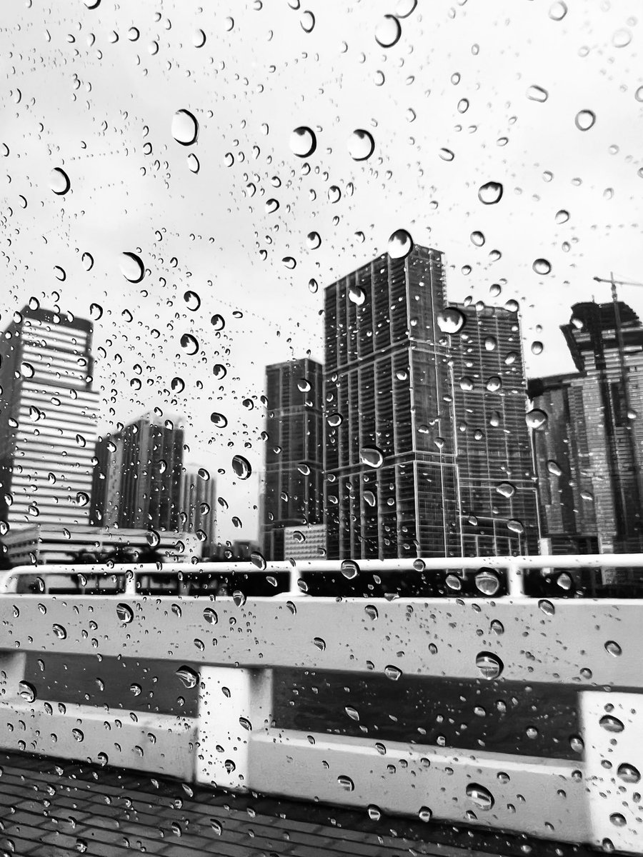 creative_emg's tweet photo. GM! On this rainy Miami day #photography https://t.co/4igqx3Ewxp