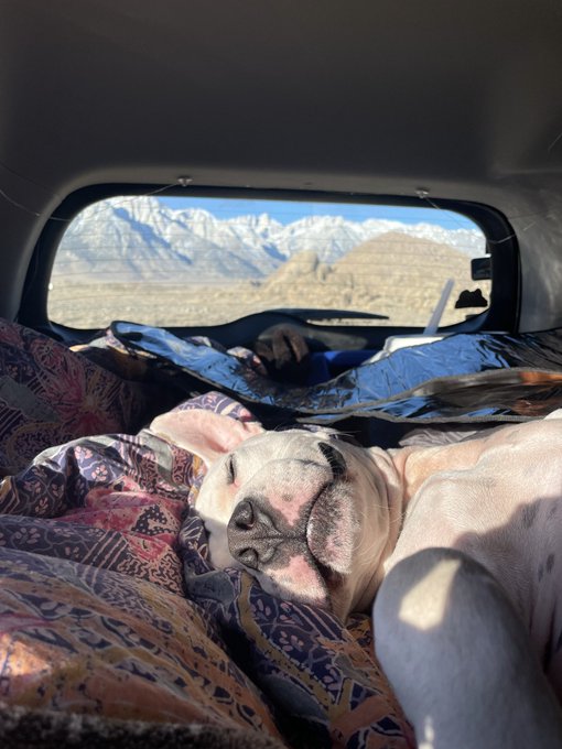 Some of my favorite photos of Yeti https://t.co/claJG13uLq