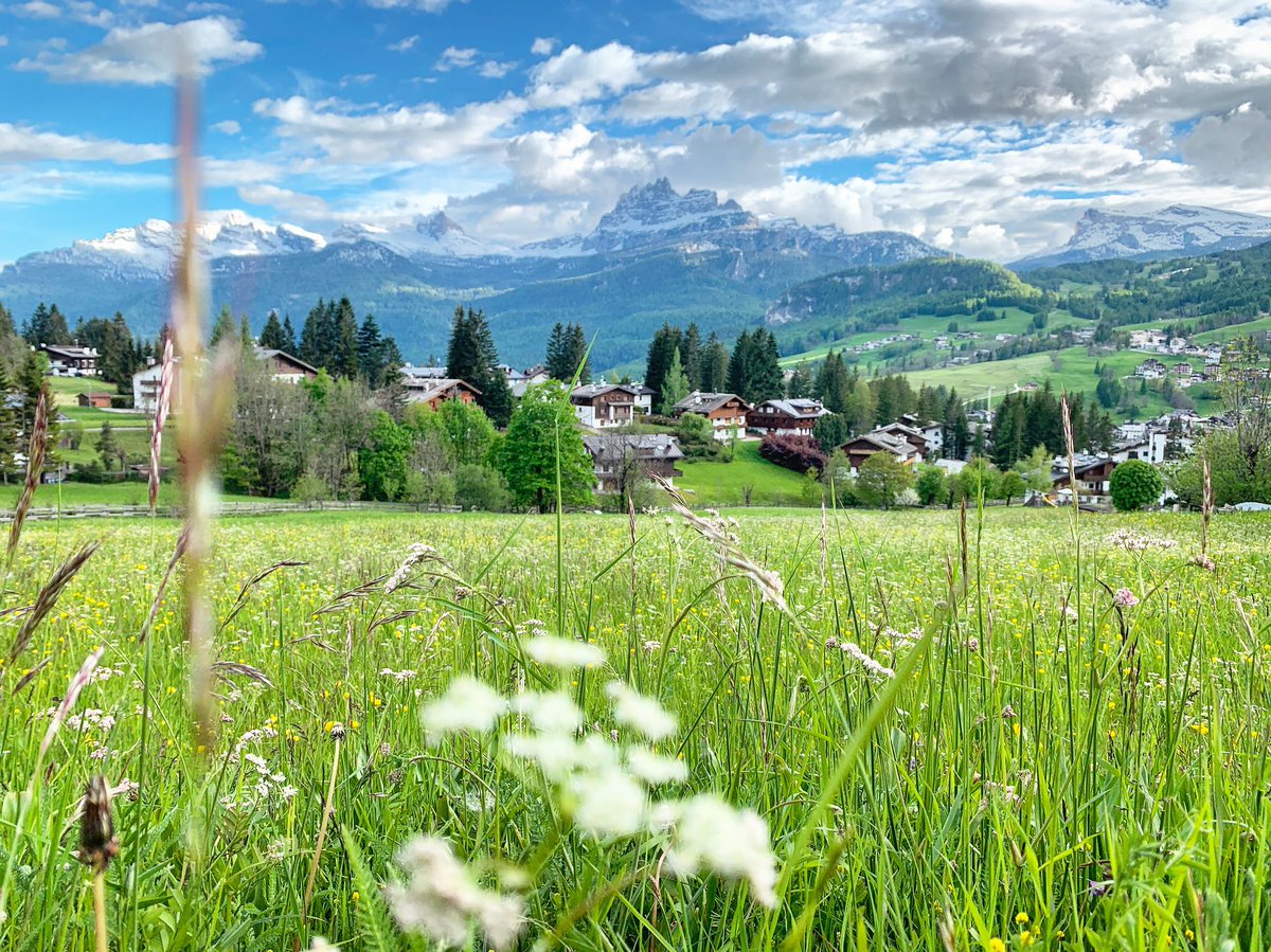 ACCADDE A CORTINA
È nata una nuova iniziativa per celebrare Cortina d’Ampezzo, crocevia di autori e storie. Il primo progetto di segnaletica letteraria per le Dolomiti. 20 cartelli, da Hemingway a Buzzati, da Parise a Bellow. Connessi da una piattaforma digitale. #AccaddeACortina