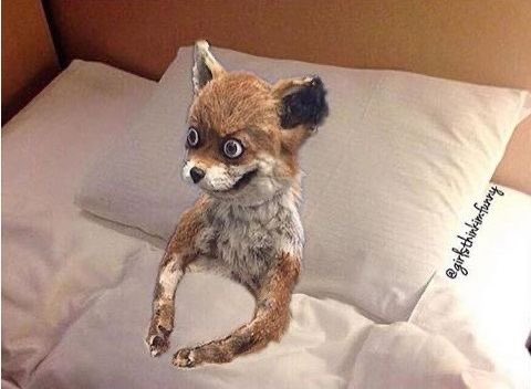 thamzcm's tweet photo. @dvndcs You in bed later on https://t.co/O7XBaS89Uf